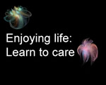 Enjoy life: Learn to care